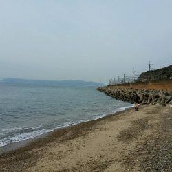 未明～昼まで須磨海岸西側をランガン。貧果に終わりました…。